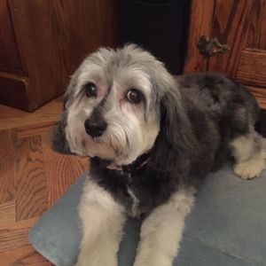 Meet your Posher, Marianne